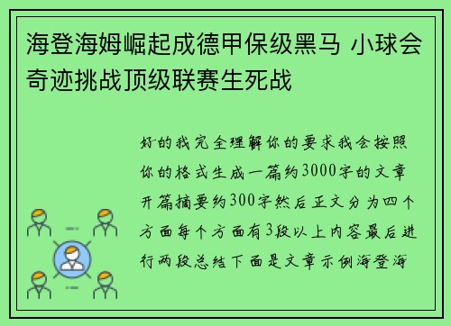 海登海姆崛起成德甲保级黑马 小球会奇迹挑战顶级联赛生死战